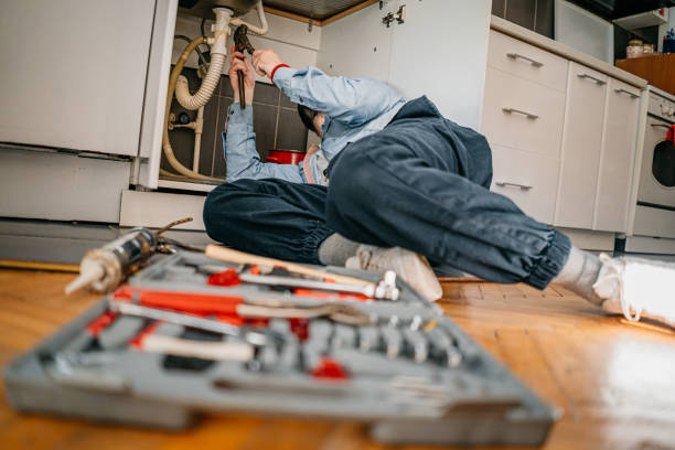 Best Sprinkler Systems  in River Grove, IL