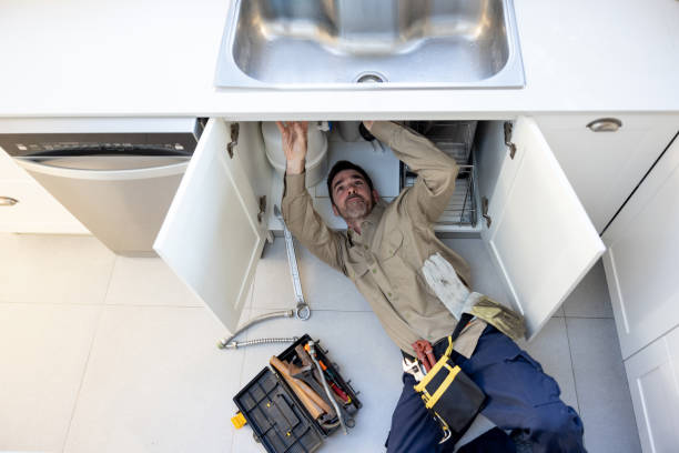 Best Affordable Plumbing Services  in River Grove, IL
