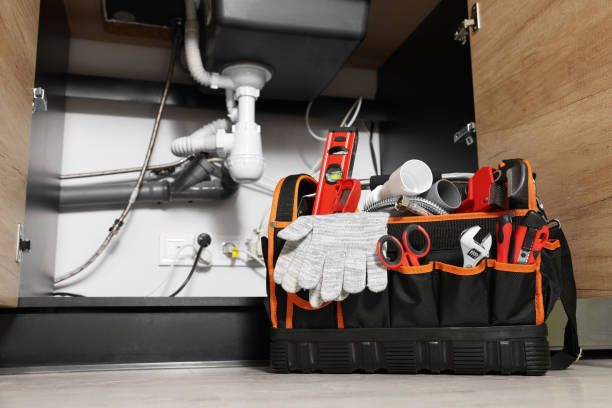 Best Sewer Line Repair  in River Grove, IL
