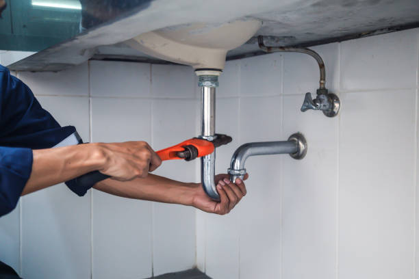 Best Commercial Plumbing Services  in River Grove, IL