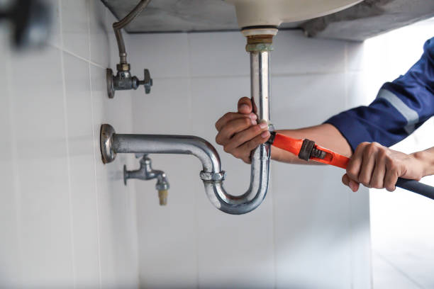 Best Plumbing Inspection Services  in River Grove, IL