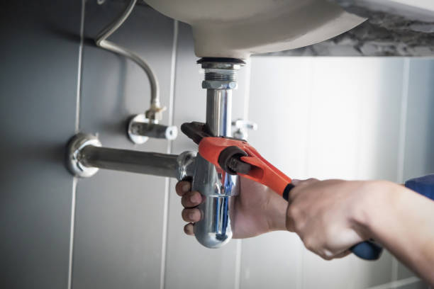 Best Local Plumber Services  in River Grove, IL